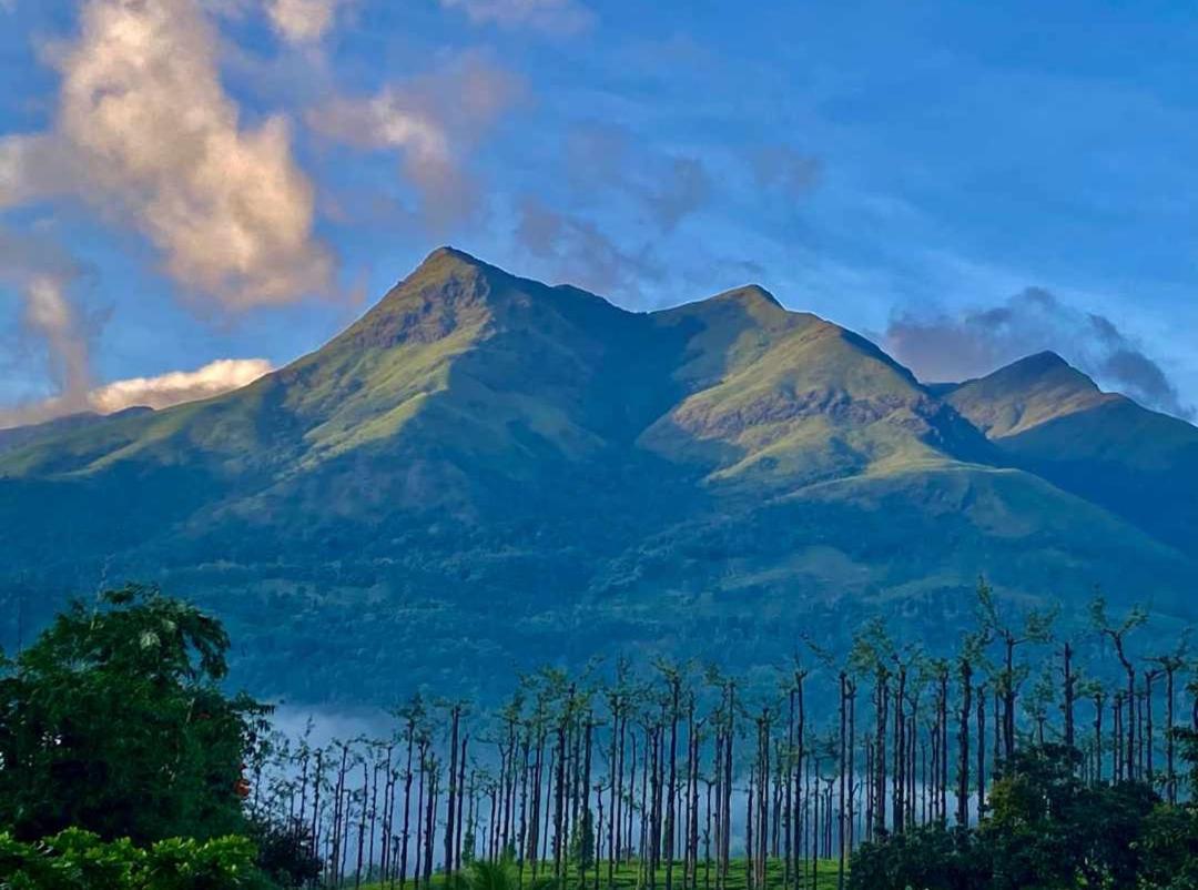 Jungle Valley Ayurvedic Spa Resort Meppādi エクステリア 写真