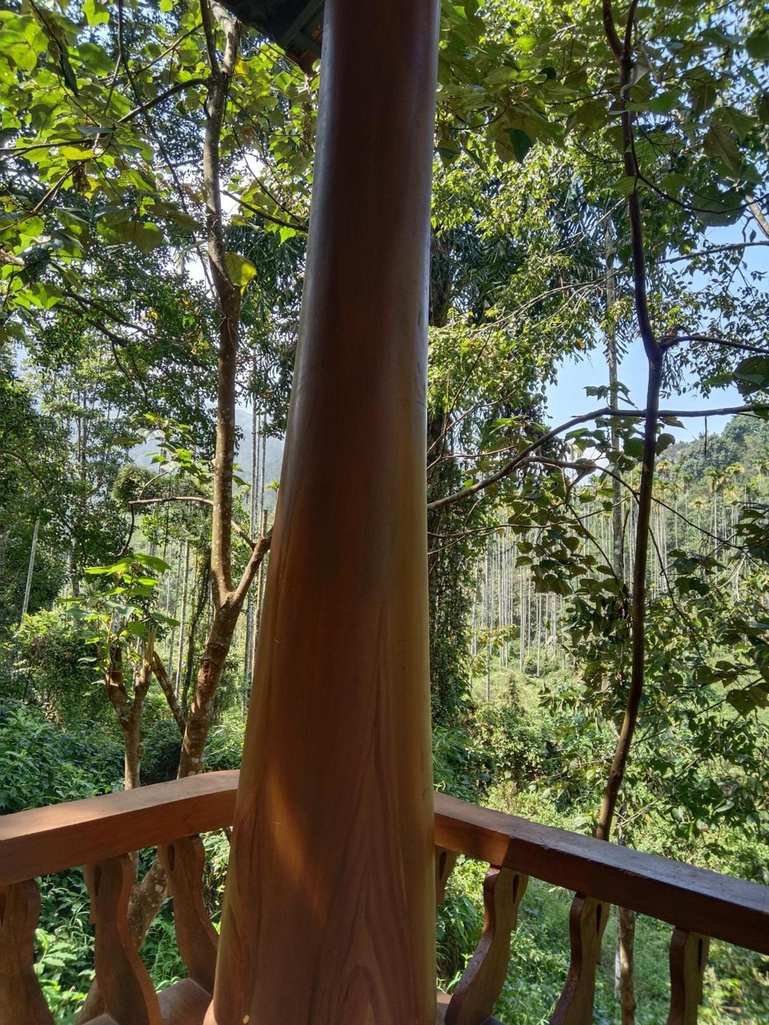 Jungle Valley Ayurvedic Spa Resort Meppādi エクステリア 写真