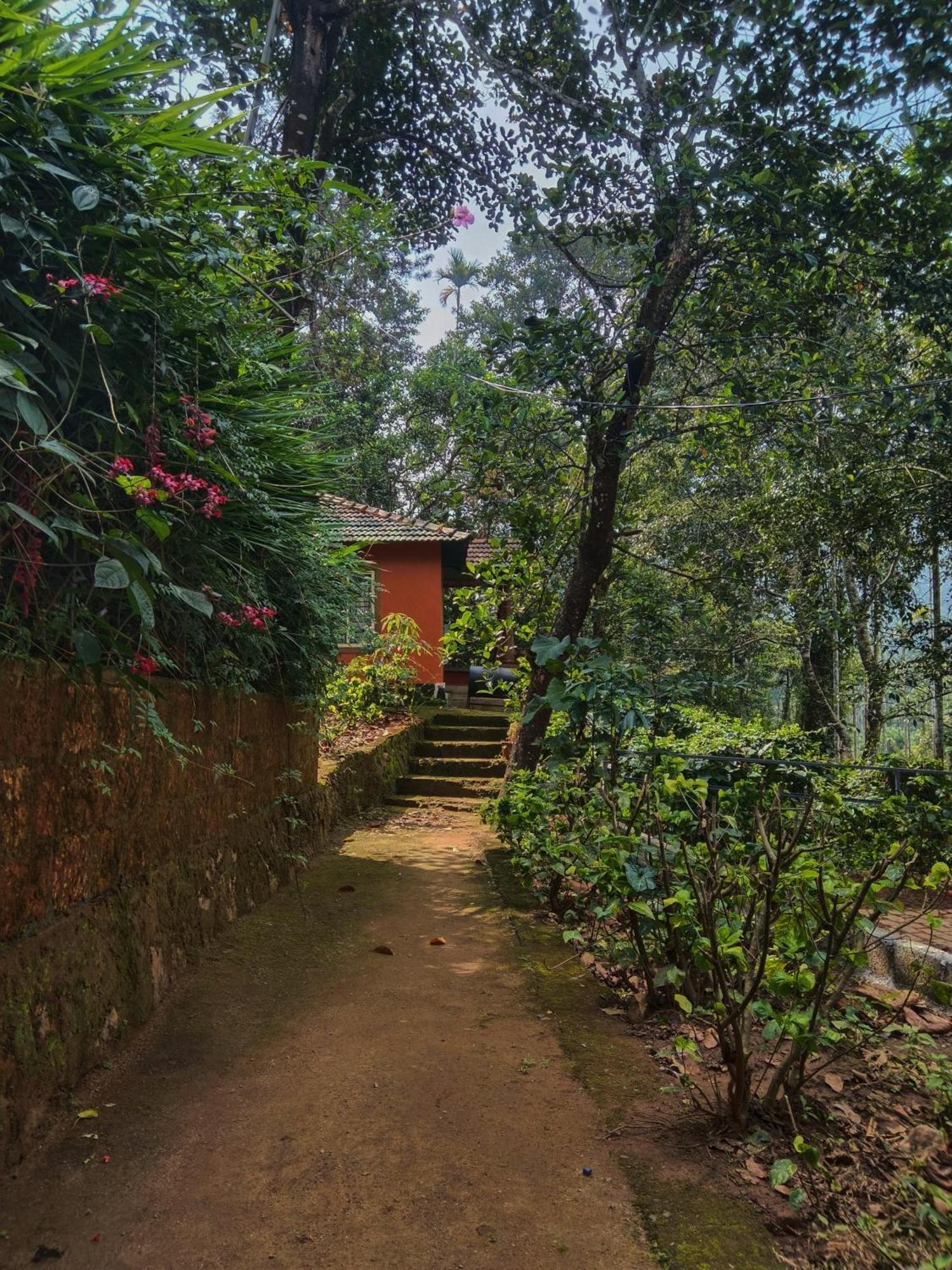 Jungle Valley Ayurvedic Spa Resort Meppādi エクステリア 写真