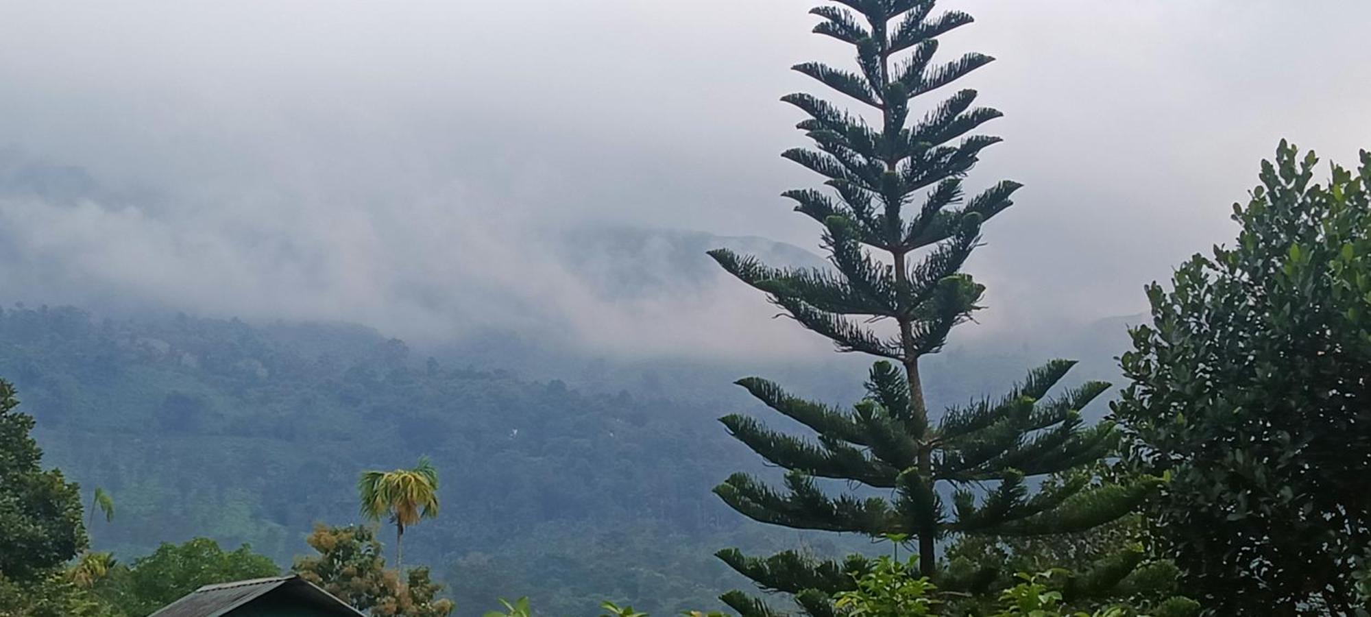 Jungle Valley Ayurvedic Spa Resort Meppādi エクステリア 写真