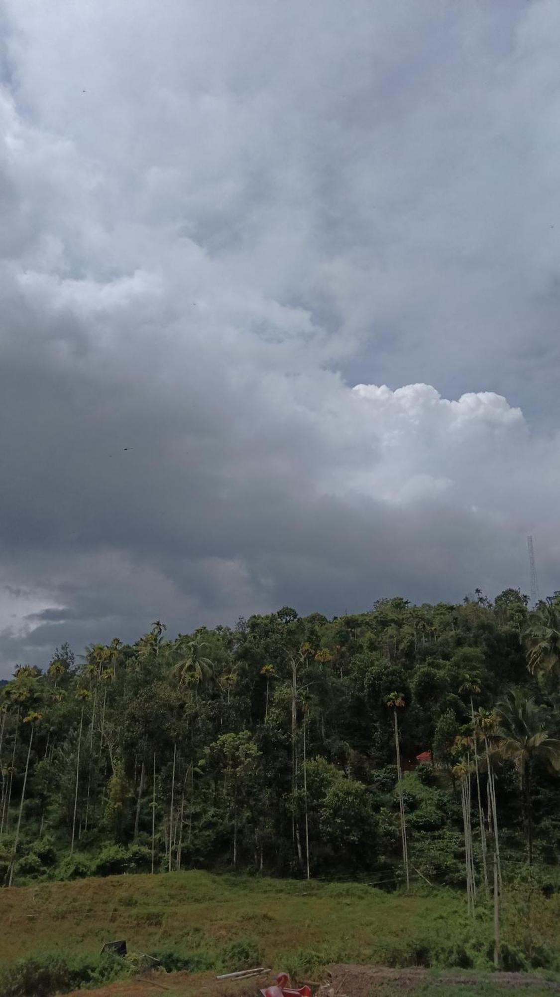 Jungle Valley Ayurvedic Spa Resort Meppādi エクステリア 写真