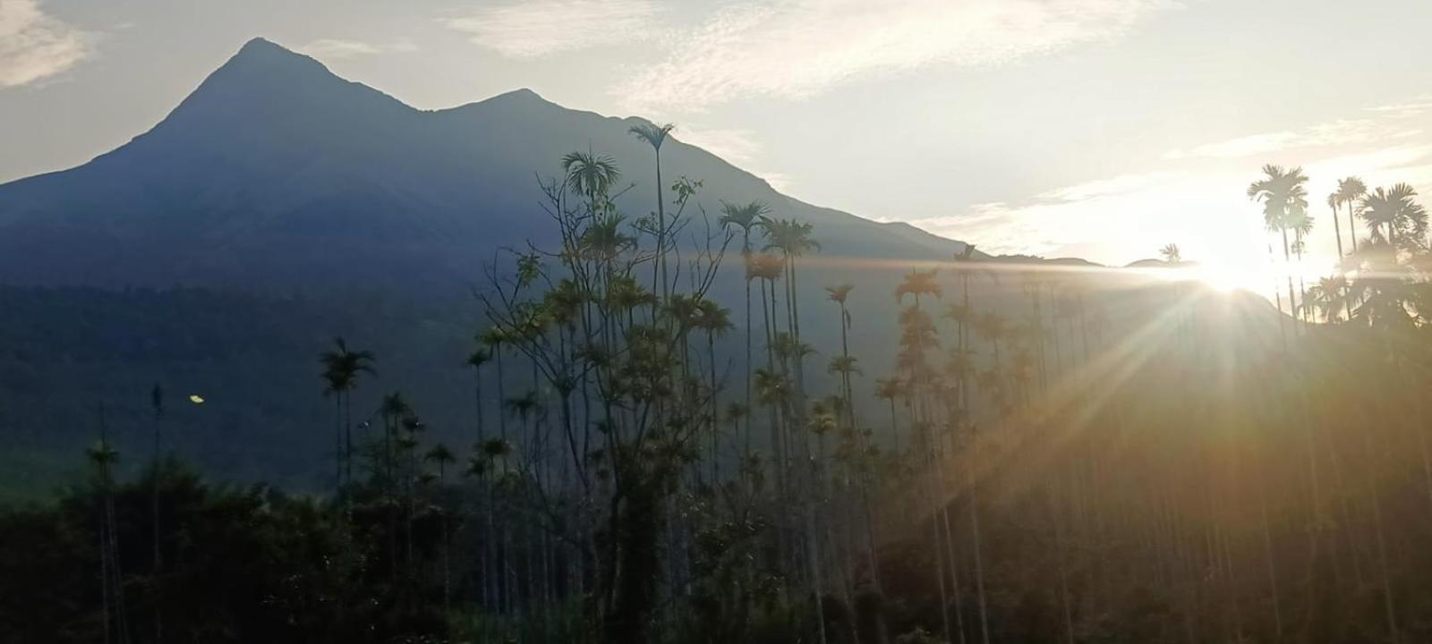 Jungle Valley Ayurvedic Spa Resort Meppādi エクステリア 写真