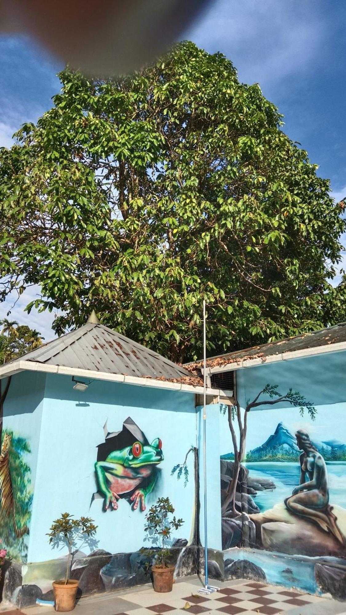 Jungle Valley Ayurvedic Spa Resort Meppādi エクステリア 写真