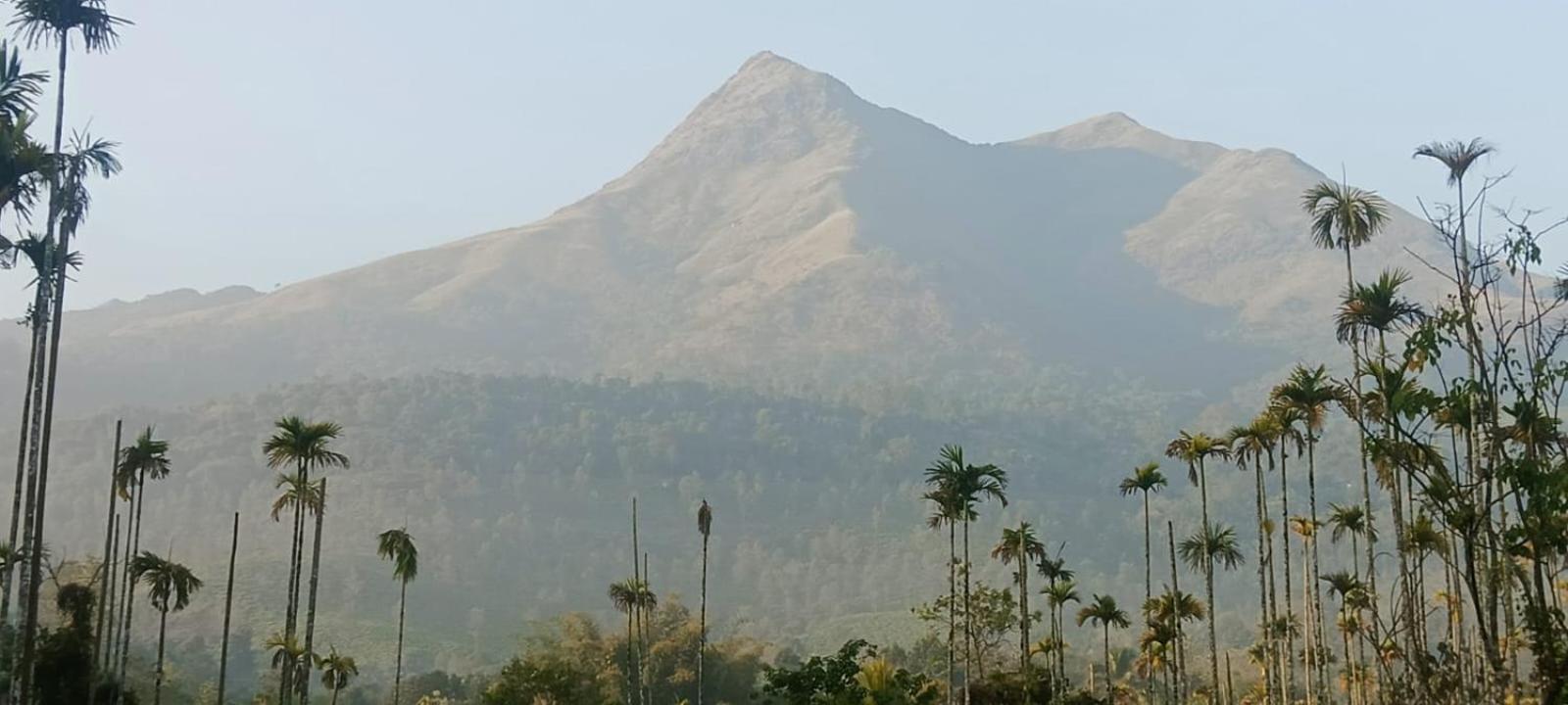 Jungle Valley Ayurvedic Spa Resort Meppādi エクステリア 写真